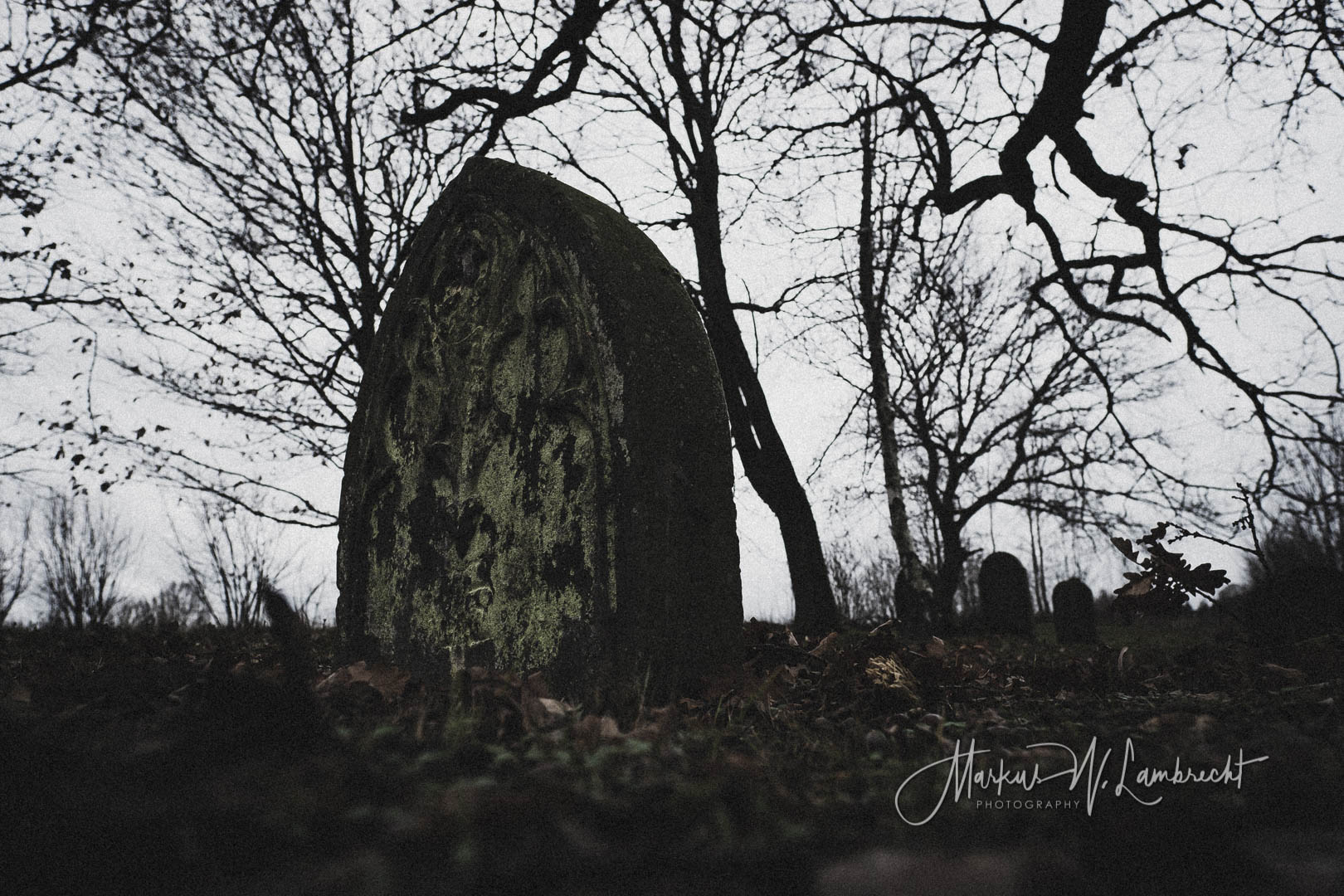 Mackensen (Dassel), Jüdischer Friedhof